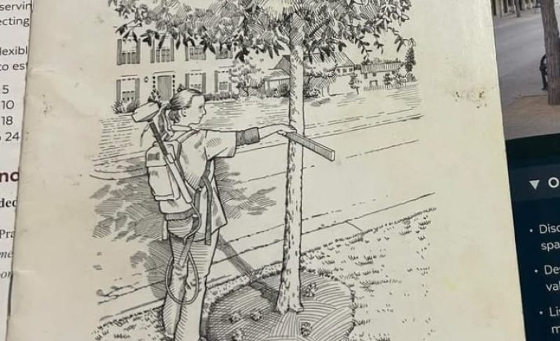 Treescape Training (5)